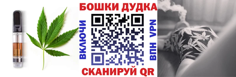 Купить где  Губкин  Cannafood конопля 