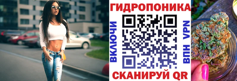 Купить закладки Губкин Каннабис THC 21%